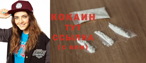 тгк Няндома