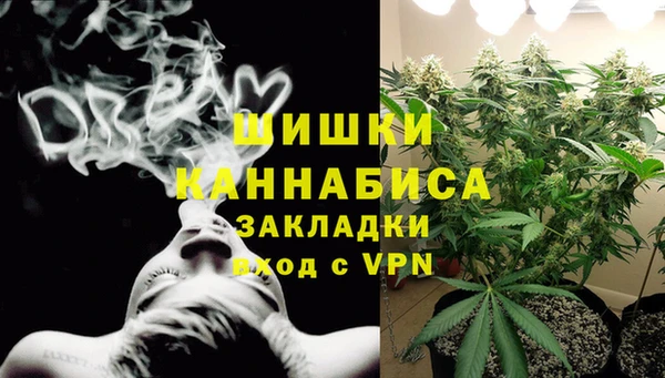 тгк Няндома