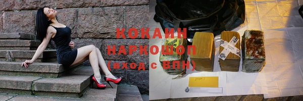 крисы Осинники