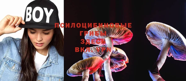 тгк Няндома