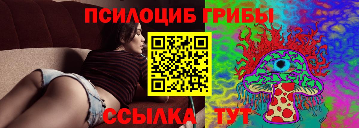 Стрежевой  Псилоцибиновые грибы ЛСД  дарнет шоп  Вход с VPN 